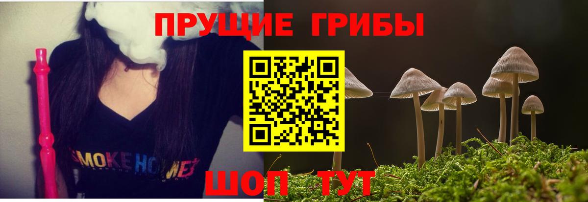 Псилоцибиновые грибы прущие грибы Рыбинск