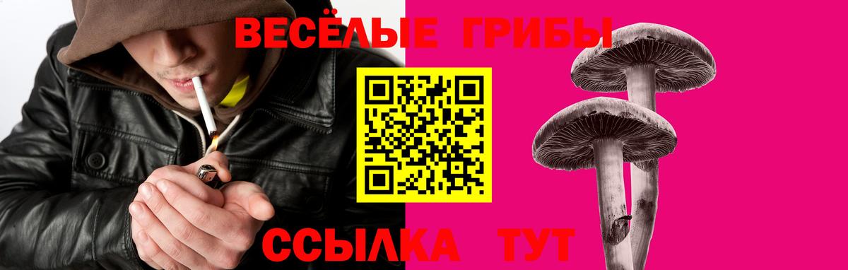 Рыбинск  Псилоцибиновые грибы Cubensis  Галлюциногенные грибы мицелий  Вход с VPN 